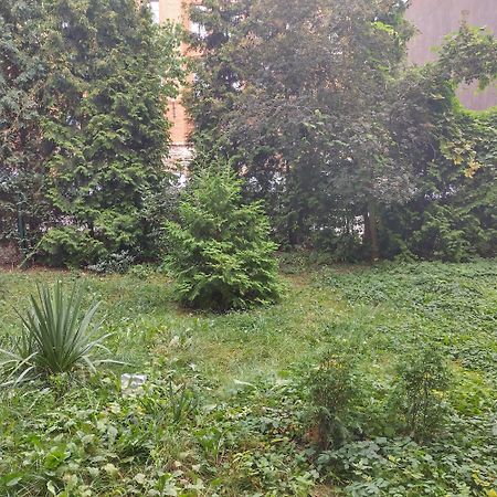 Apartament Przedzamcze Stary Toruń 外观 照片