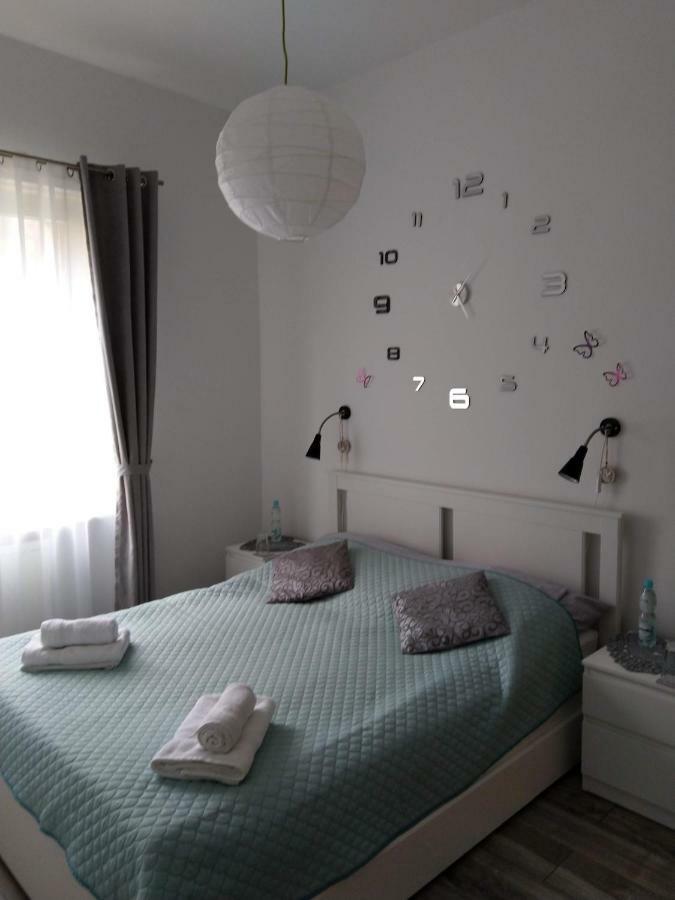 Apartament Przedzamcze Stary Toruń 外观 照片